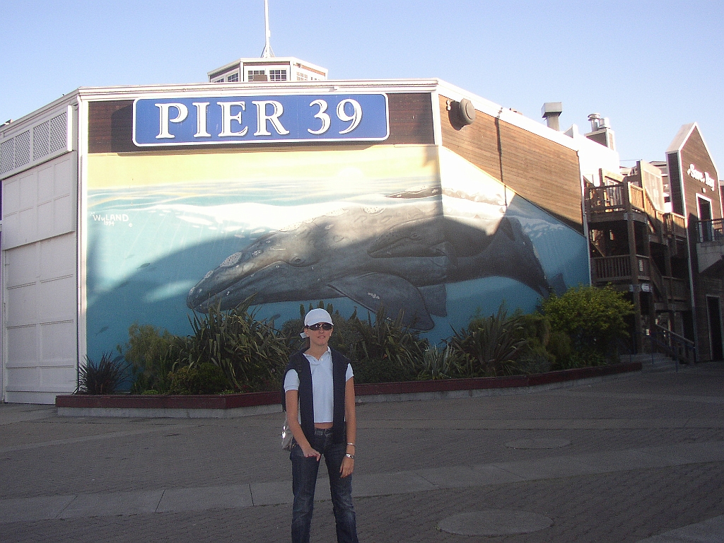 Io al pier 39